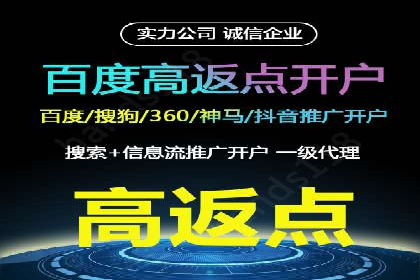 SEM营销案例：电商平台的流量密码
